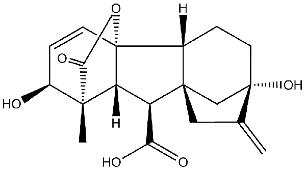 赤霉素GIBBERELLIC ACID，居然有這么神奇？
